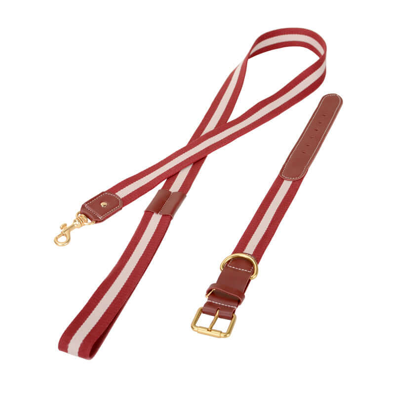 Woven Leather Wide Dog Collar, Leash cjdropshipping