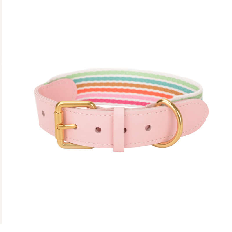 Woven Leather Wide Dog Collar, Leash cjdropshipping