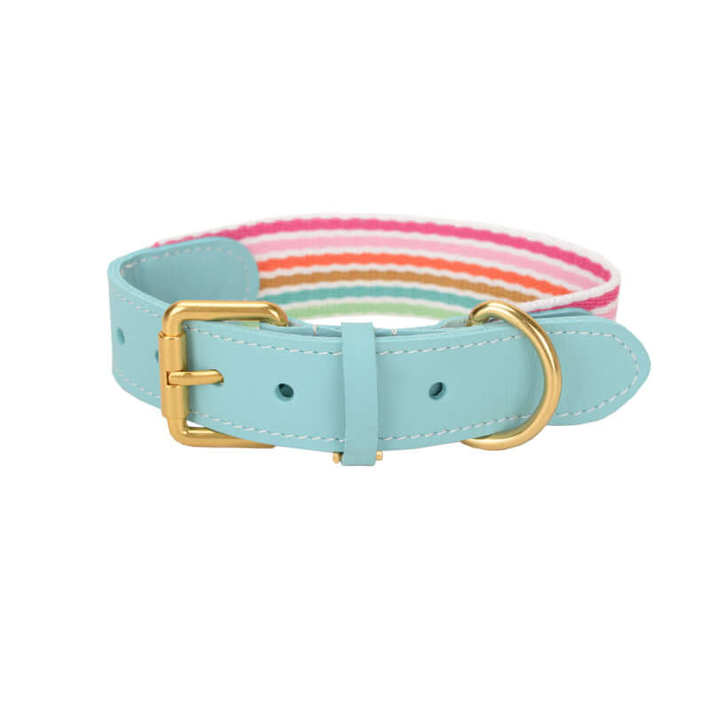 Woven Leather Wide Dog Collar, Leash cjdropshipping