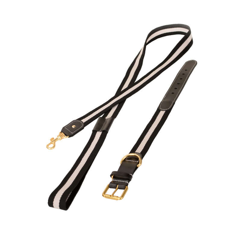 Woven Leather Wide Dog Collar, Leash cjdropshipping