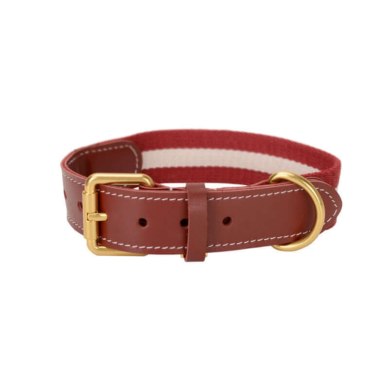 Woven Leather Wide Dog Collar, Leash cjdropshipping
