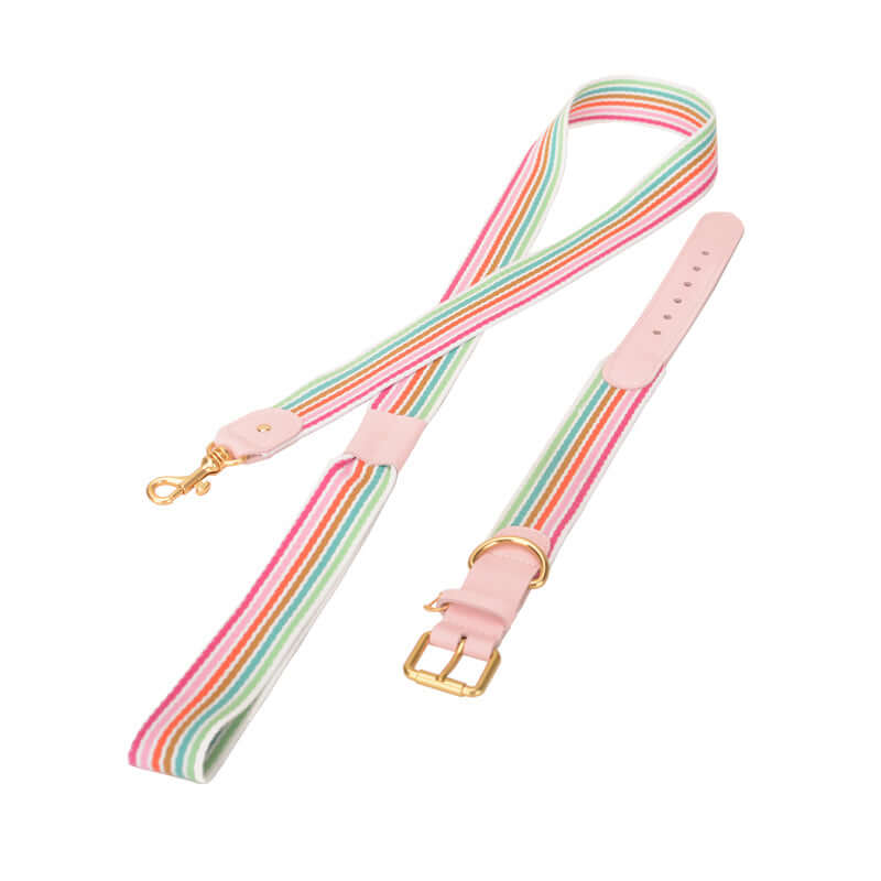 Woven Leather Wide Dog Collar, Leash cjdropshipping