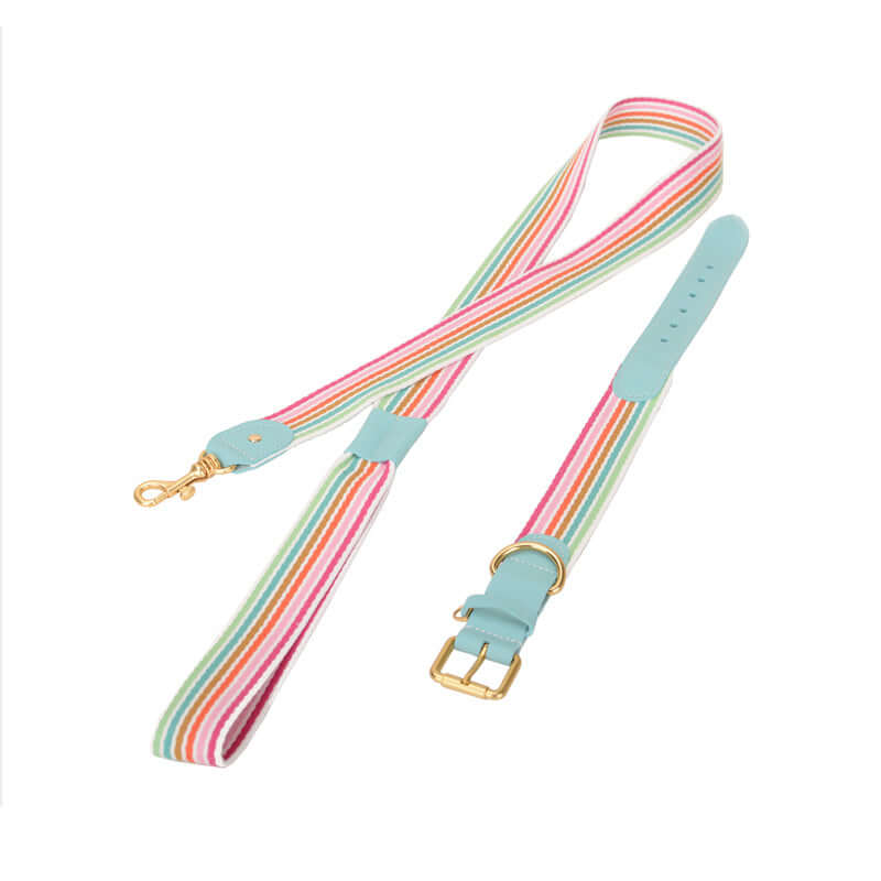 Woven Leather Wide Dog Collar, Leash cjdropshipping