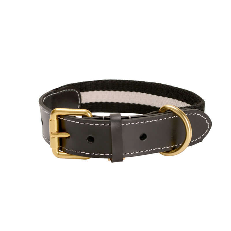 Woven Leather Wide Dog Collar, Leash cjdropshipping