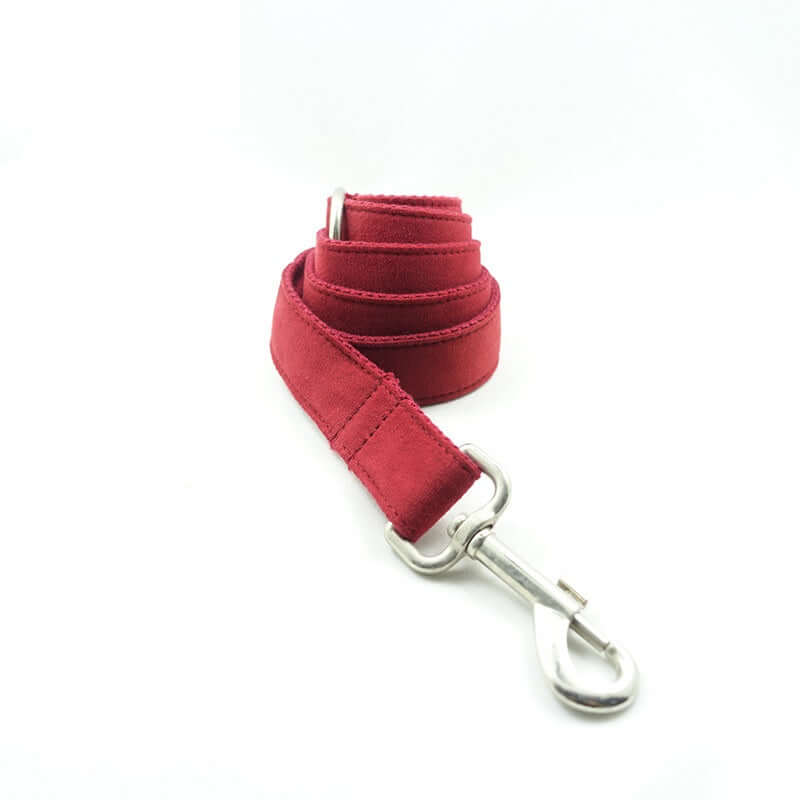 Red Dog Collar, Leash, Bow, Set cjdropshipping