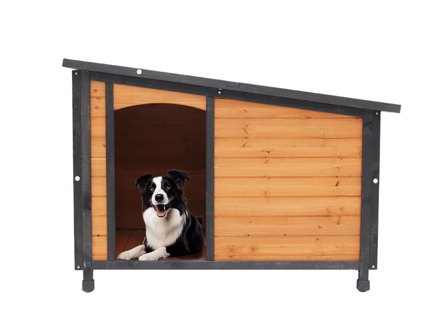 46" Dog House, Gold red and black