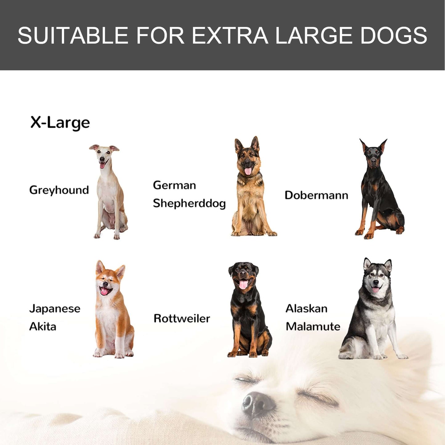 49" Heavy Duty Dog Crate with Removable Tray & 4 Locking Wheels - supdog