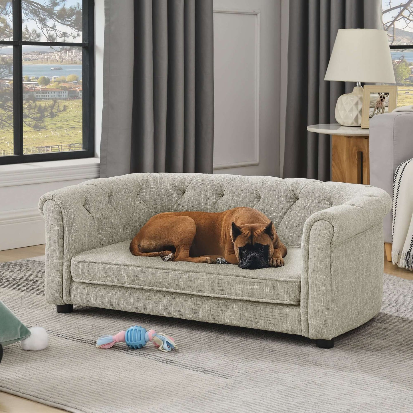 38" Contemporary Pet Sofa, Beige