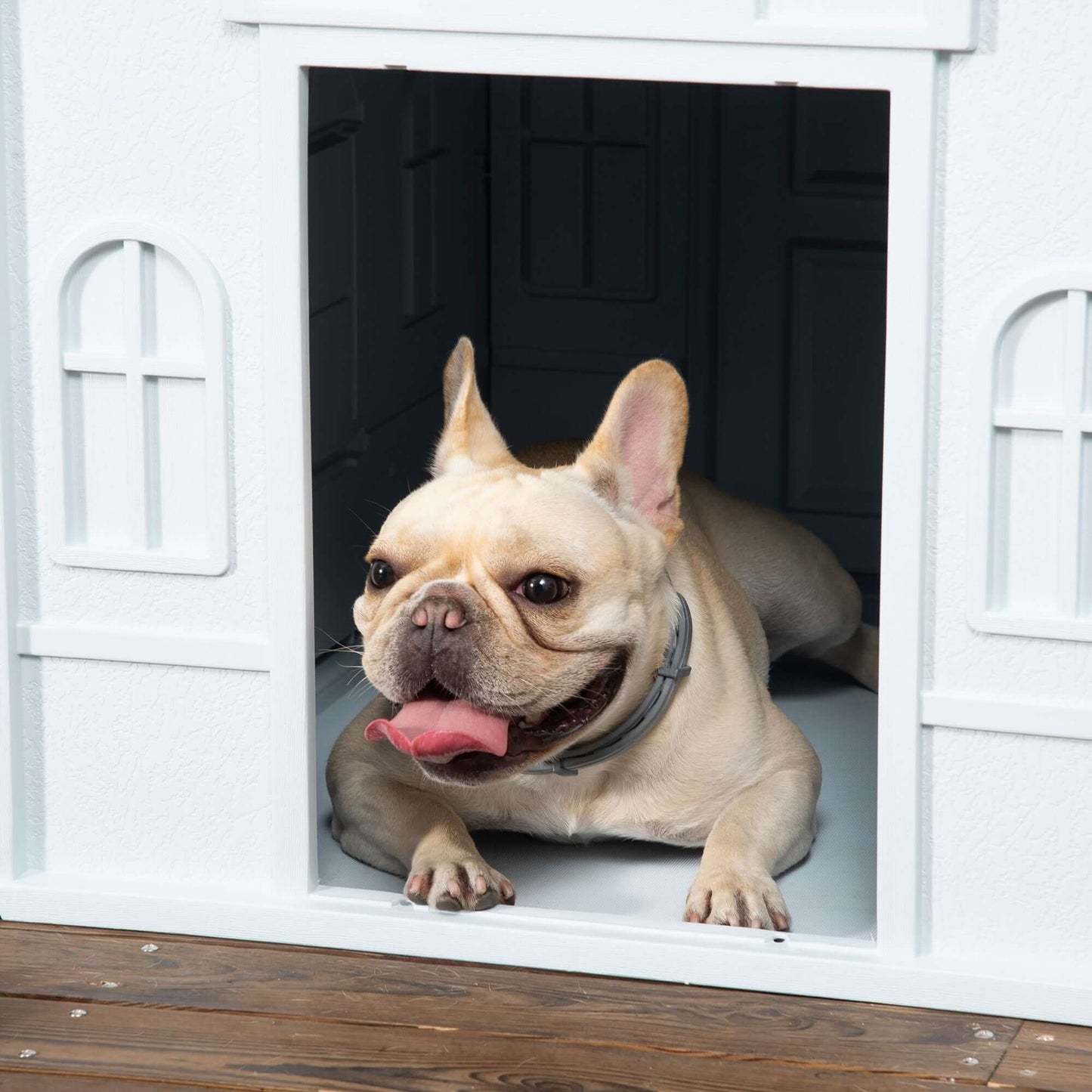 Plastic Dog House, Water Resistant for Medium and Small Dogs, Blue - supdog