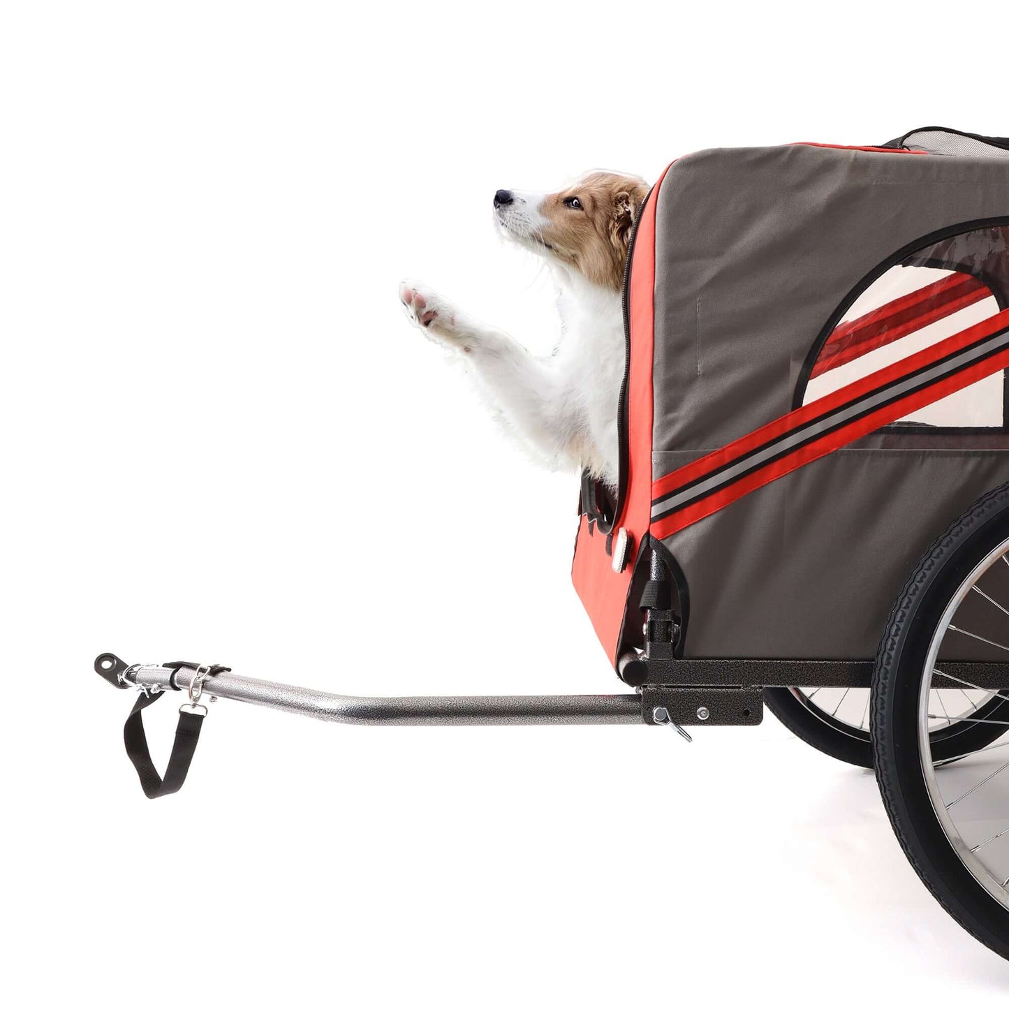 Foldable Bicycle Trailer for Large Dogs, Grey & Red