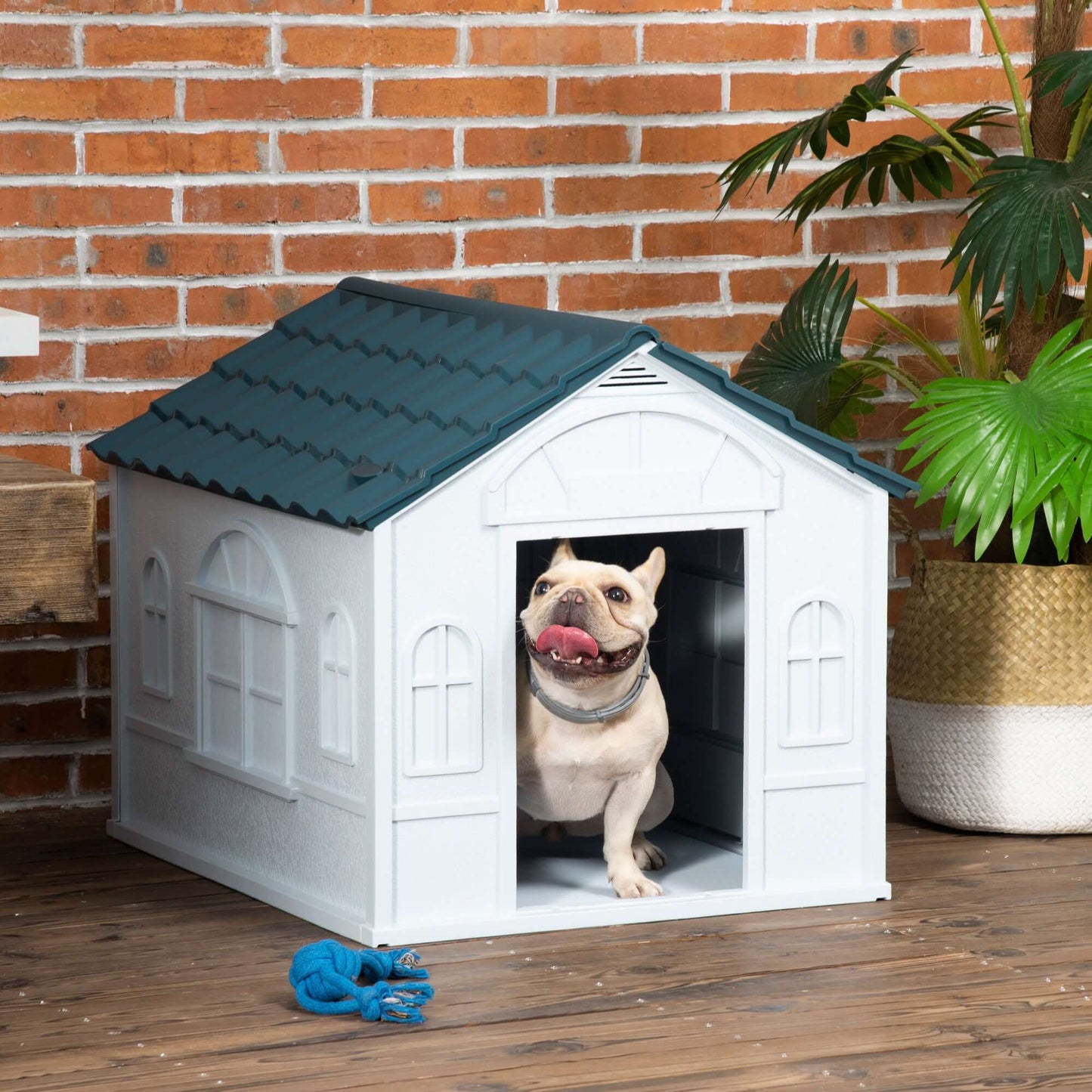 Plastic Dog House, Water Resistant for Medium and Small Dogs, Blue - supdog