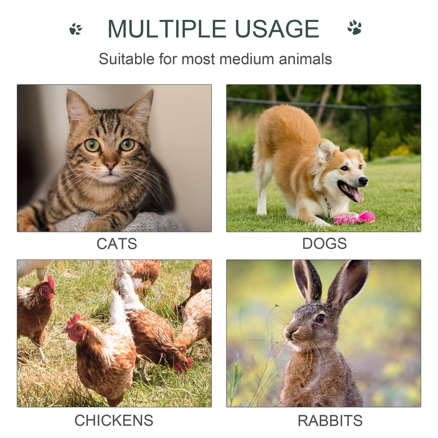 Image showcasing multiple animals: cats, dogs, chickens, and rabbits, highlighting the versatility of pet products.