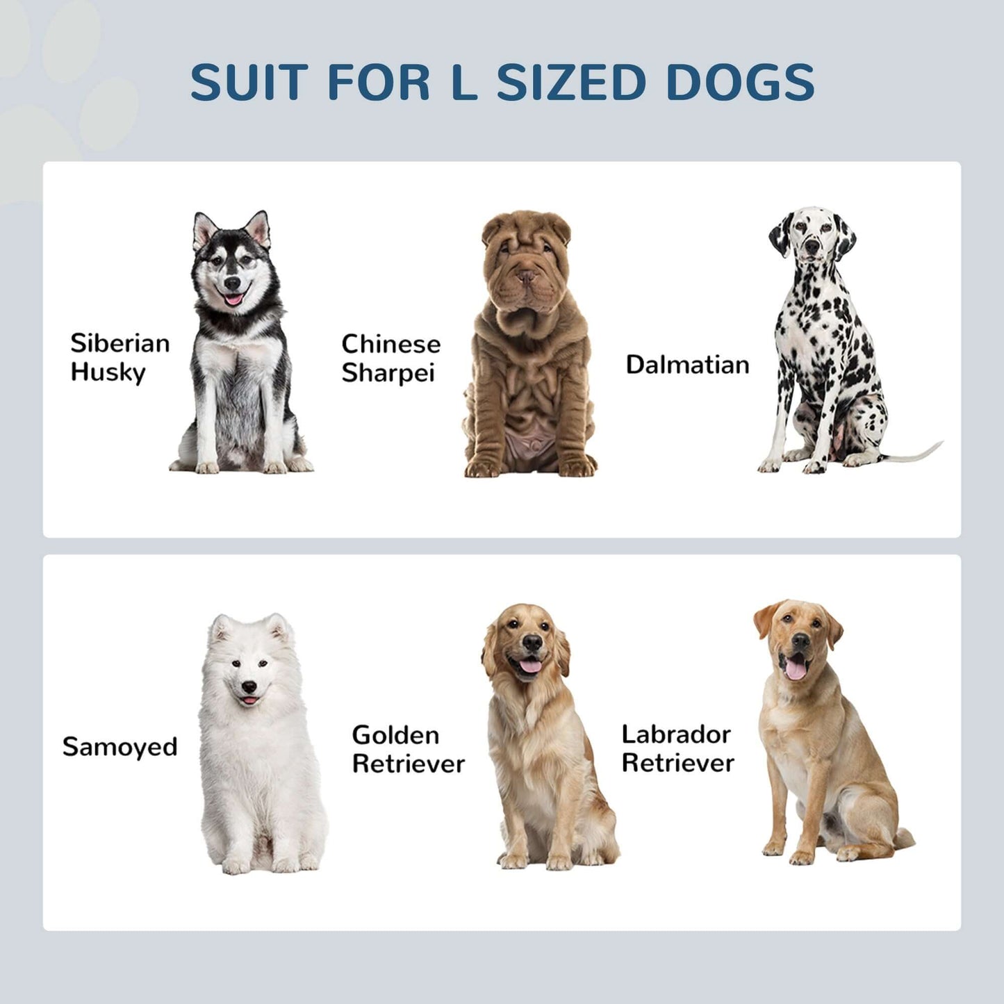 Premium Gray Elevated Dog Bowls with Storage | Raised Dog Bowl Stand GIGA