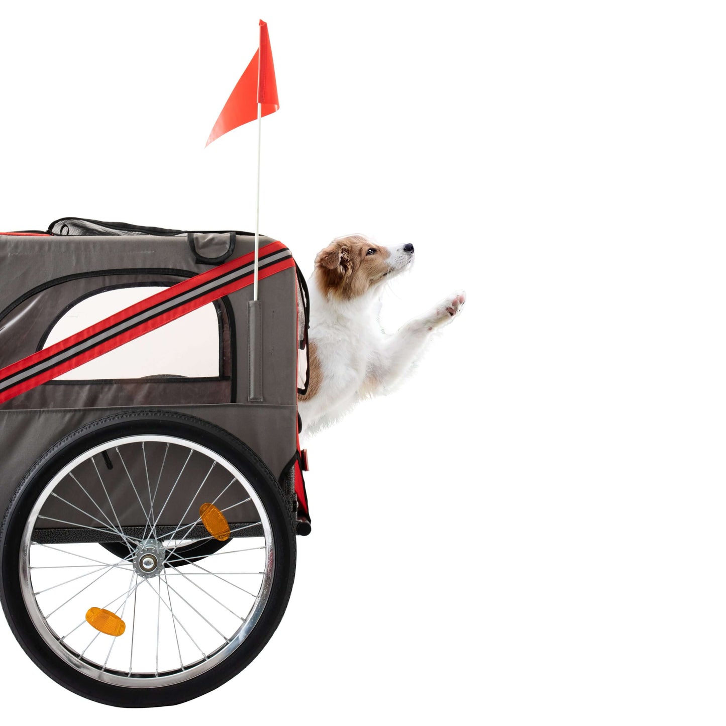 Foldable Bicycle Trailer for Large Dogs, Grey & Red