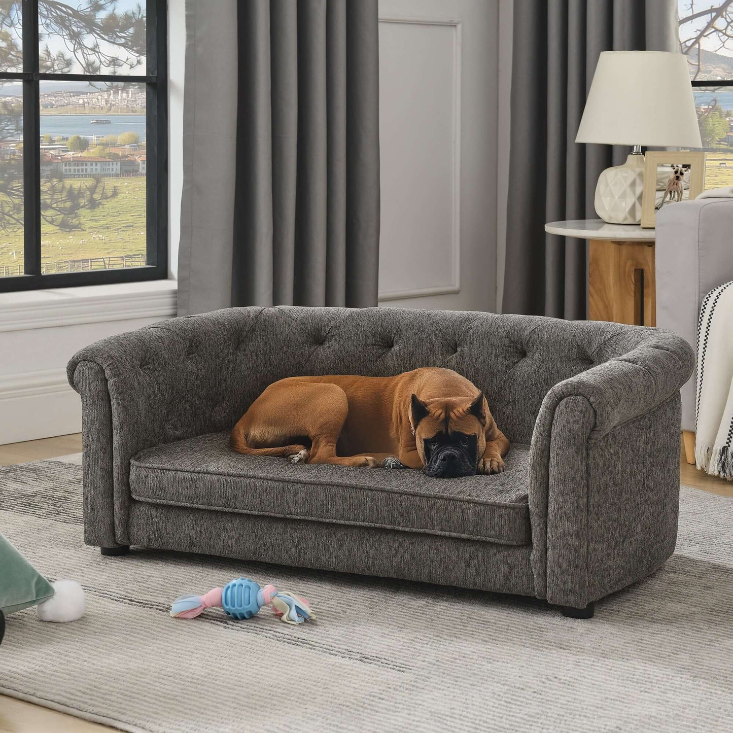 38" Contemporary Pet Sofa, Dark Grey