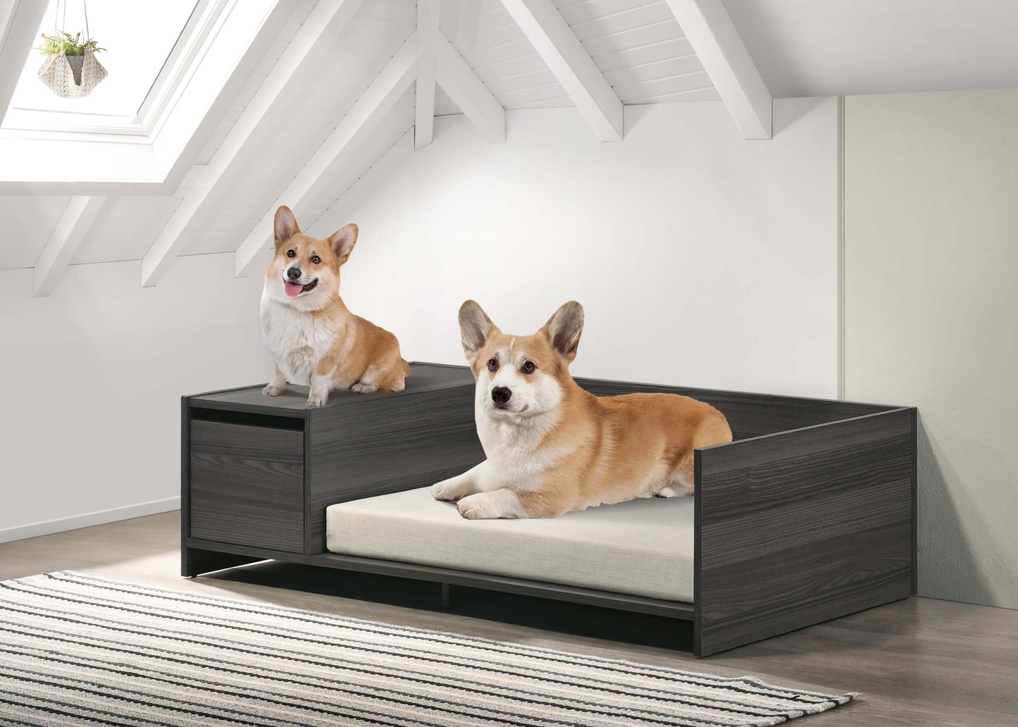 Modern Dog Bed with Cushion and Side Storage Compartment, Esme Ash Gray, 47" Wide GIGA