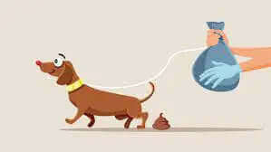 A cartoon dog on a leash, with a person picking up its waste in a bag.