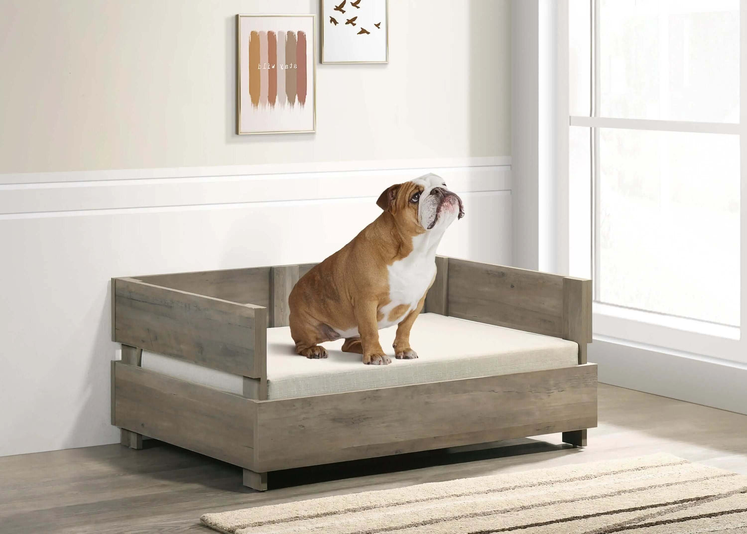 “Dog Beds: Choose Comfort & Quality for Your Furry Friend” - supdog