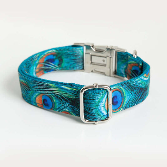 Peacock Dog Collar cjdropshipping