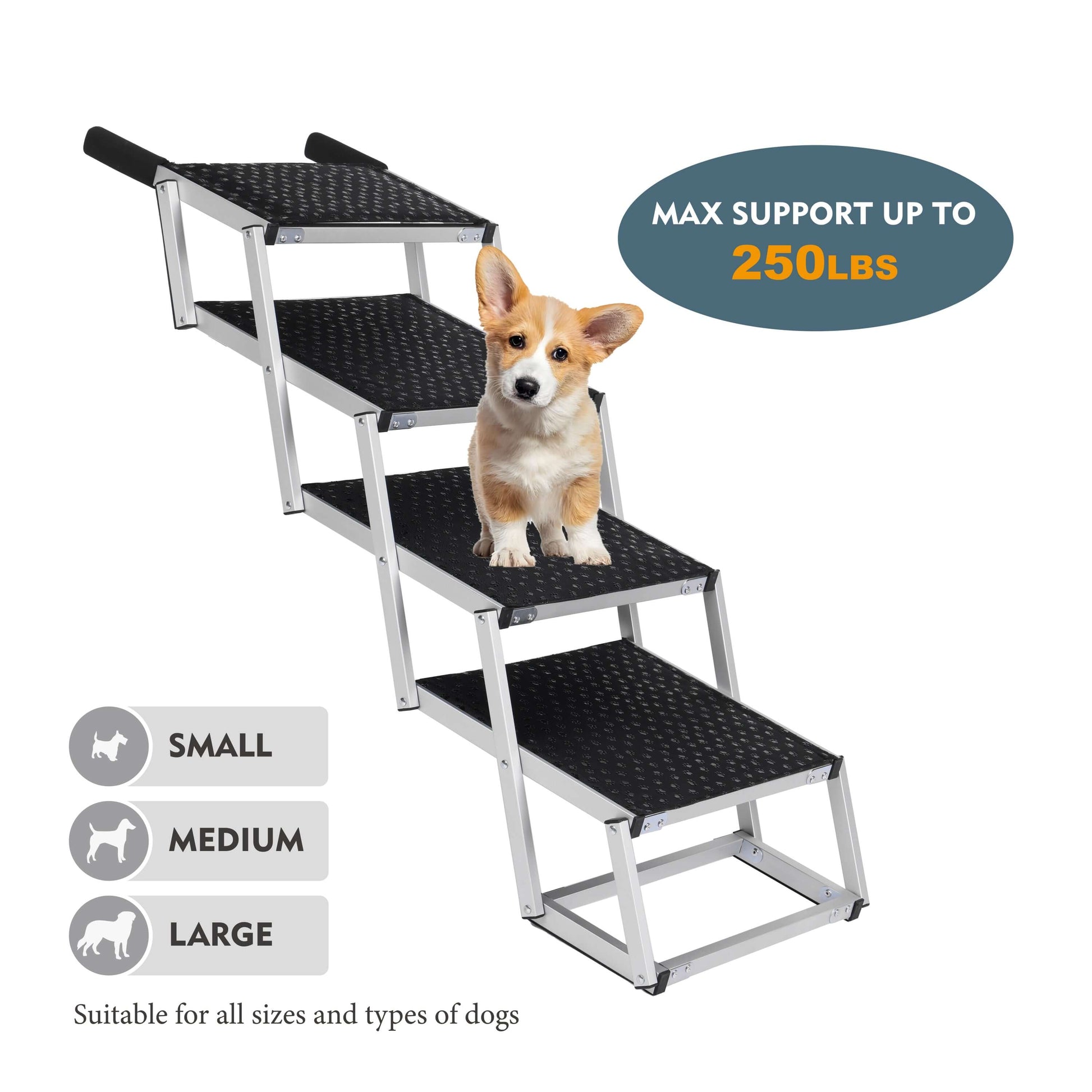 22976315