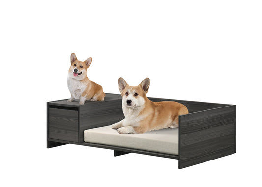 Modern Dog Bed with Cushion and Side Storage Compartment, Esme Ash Gray, 47" Wide GIGA