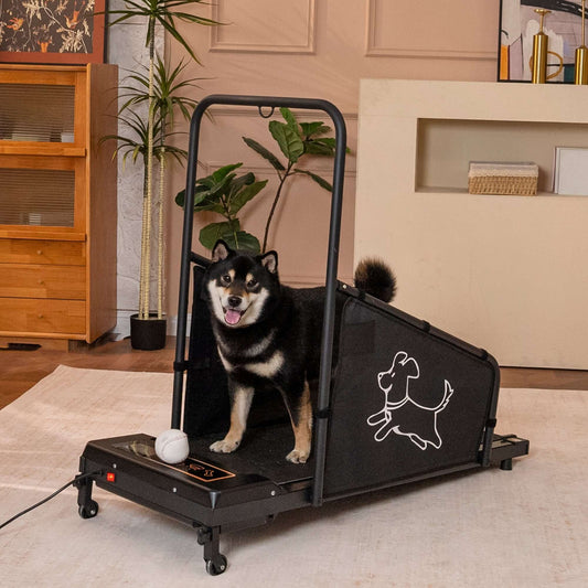 Dog Treadmill for Medium Dogs